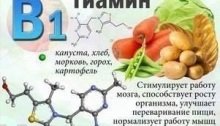 действие витамина В1